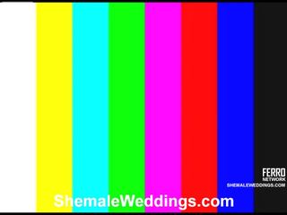 素晴らしい シーメール weddings 映画 ととも​​に すごい 大人 フィルム 星 キャロル, lorena, ミレーナ